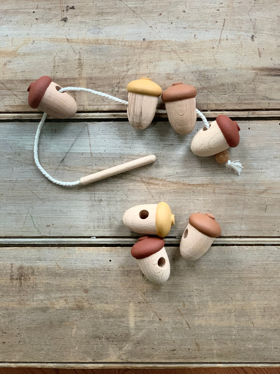 Wooden Lacing Acorns